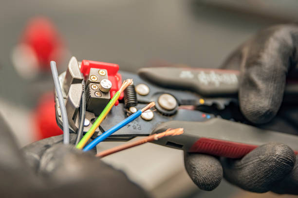 Best Electric Panel Repair  in Roxboro, NC